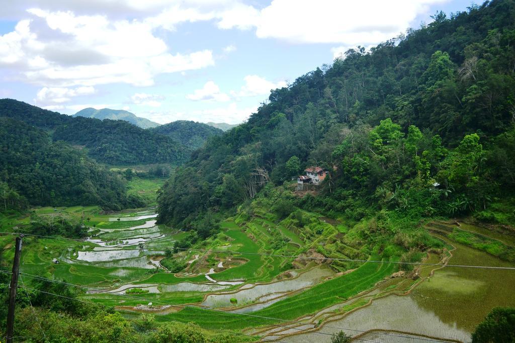 Banaue Greenfields Inn Esterno foto